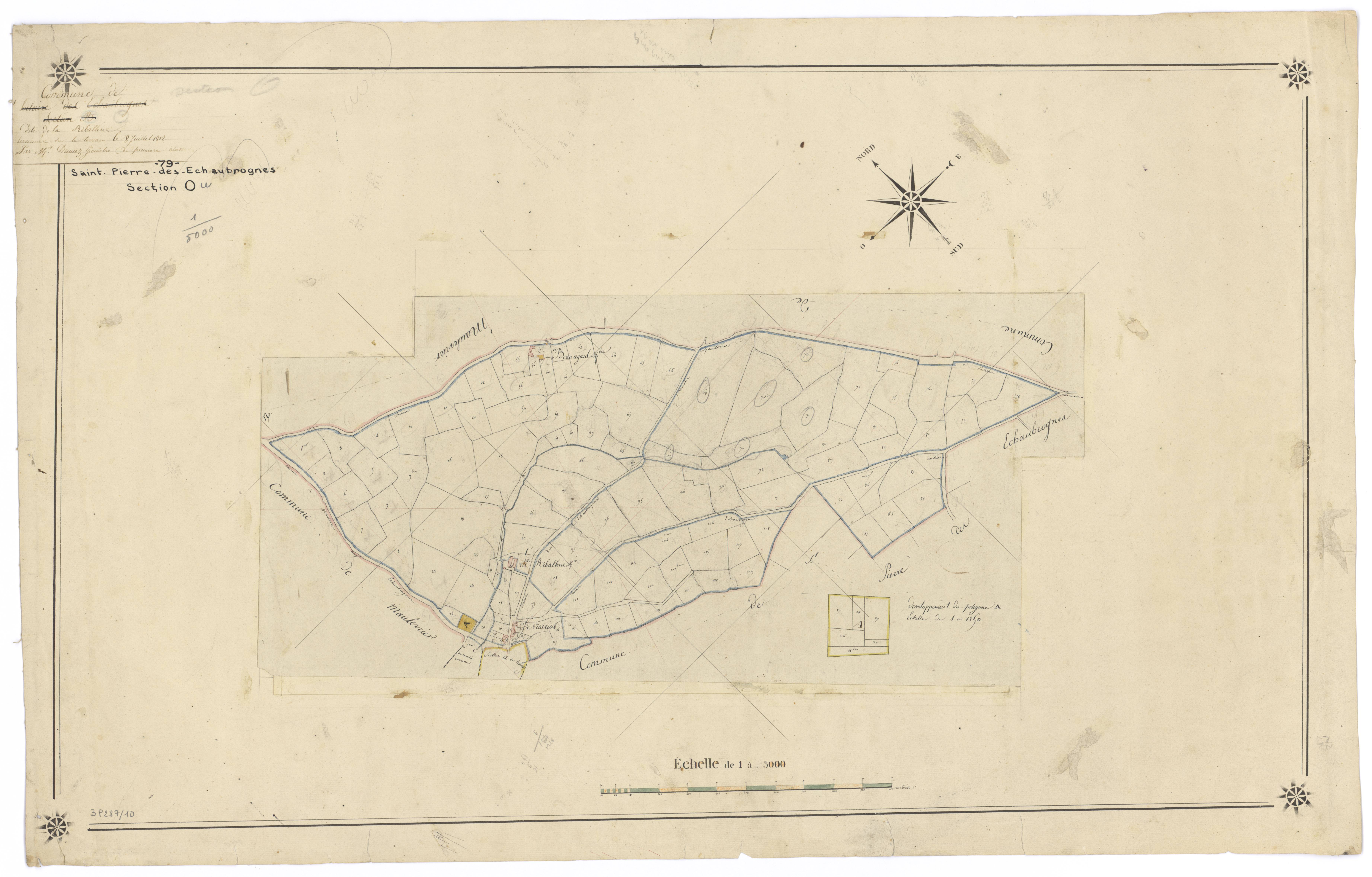 Saint-Pierre-des-Échaubrognes - FRAD079_CADASTRE_NAPOLEONIEN Section O de la Riballerie 
