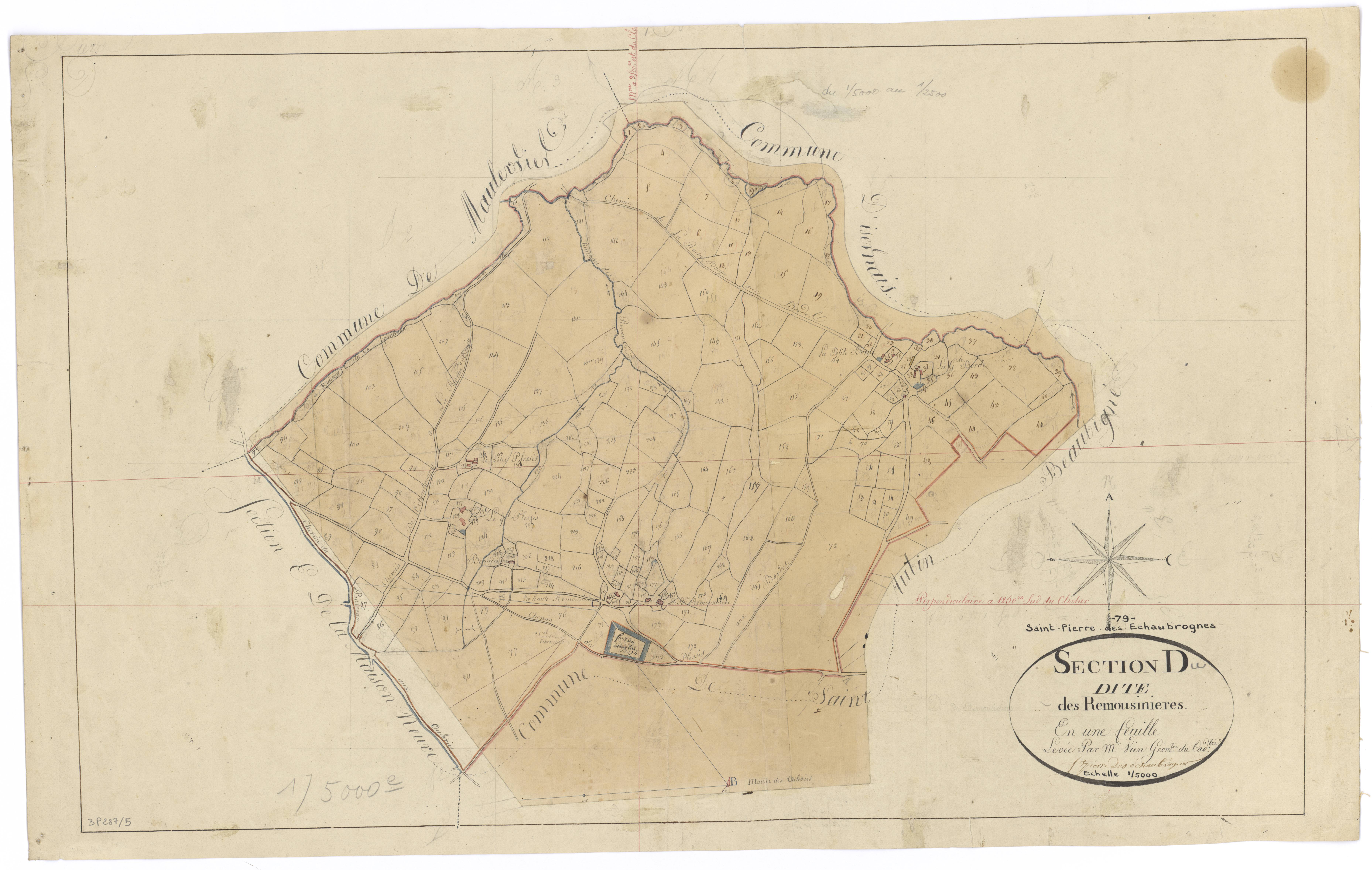 Saint-Pierre-des-Échaubrognes - FRAD079_CADASTRE_NAPOLEONIEN Section D dite des Remousinières 