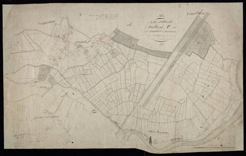 Plan du cadastre napoléonien - Abbeville : Mautort et sur-Somme, P