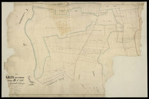 Plan du cadastre napoléonien - Ailly-sur-Somme (Ailly sur Somme) : Grands Champs (Les), D1