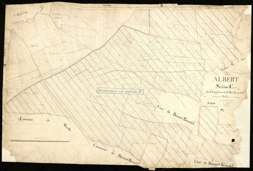 Plan du cadastre napoléonien - Albert : Gauguières (Les) ; Bois Lecomte (Le), C1