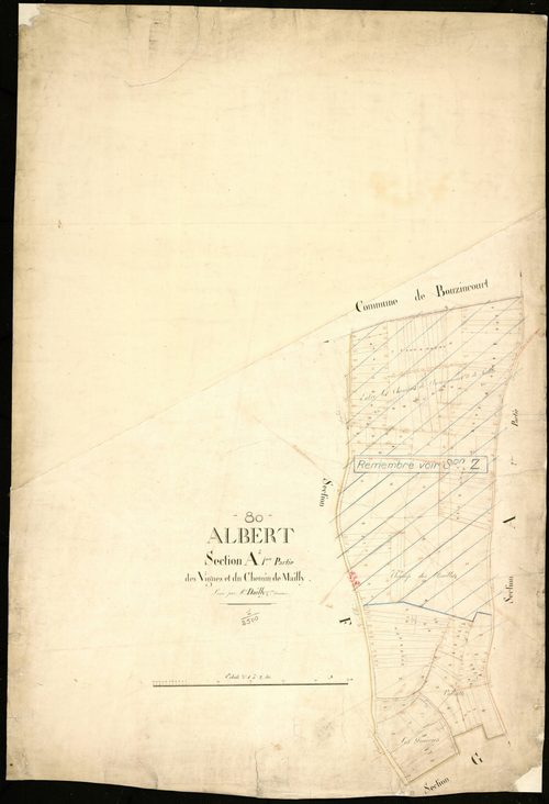 Plan du cadastre napoléonien - Albert : Vignes (Les) ; Chemin de Mailly (Le), A1