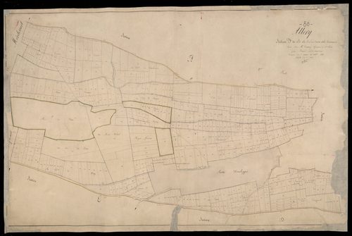 Plan du cadastre napoléonien - Allery : Bois des Vaux et du Cocriamont (Le), F