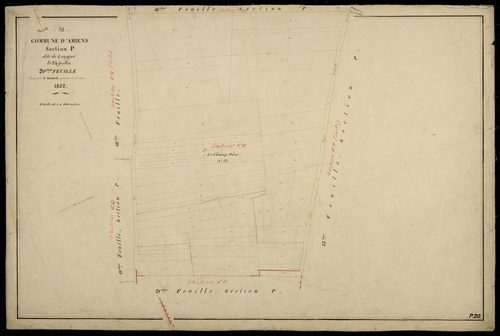 Plan du cadastre napoléonien - Amiens : Longpré, P20