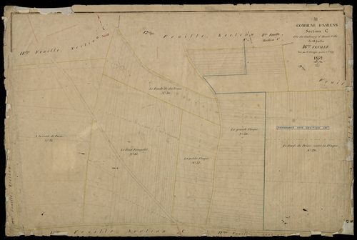 Plan du cadastre napoléonien - Amiens : Faubourg d'Henri-Ville (Le), C16