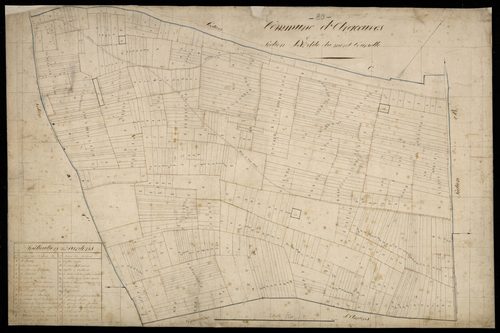 Plan du cadastre napoléonien - Argoeuves : Mont Courselle (Le), D