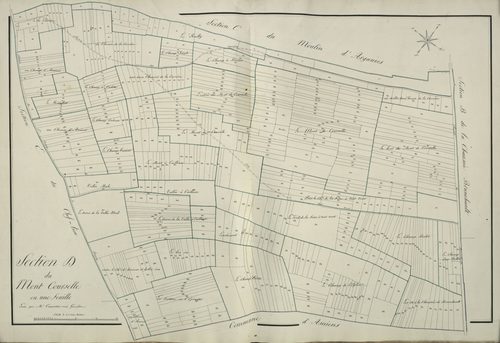 Plan du cadastre napoléonien - Argoeuves : Mont Courcelle (Le), D