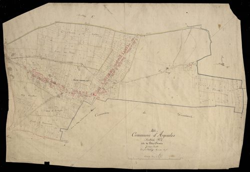 Plan du cadastre napoléonien - Argoules : Petit-Chemin (Le), B1