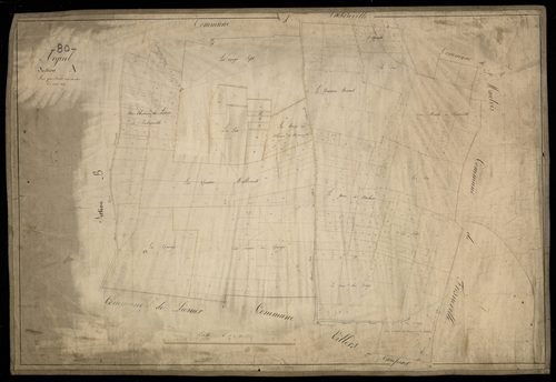 Plan du cadastre napoléonien - Arguel : A