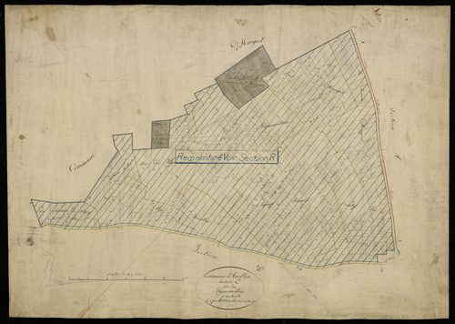 Plan du cadastre napoléonien - Arvillers : Pignonvillers (Les), E