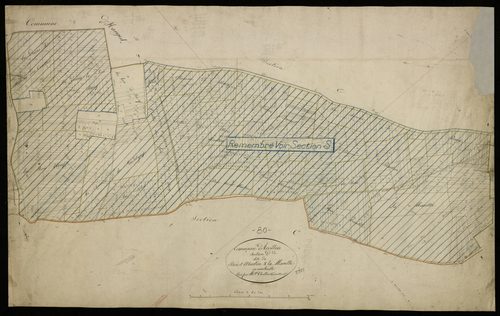 Plan du cadastre napoléonien - Arvillers : Bois Saint Martin (Le) ; Marette (La), D