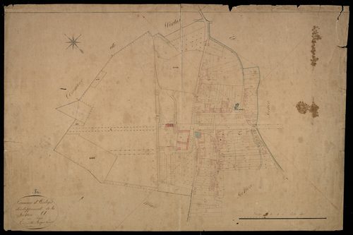 Plan du cadastre napoléonien - Avelesges (Avelèges) : A développée