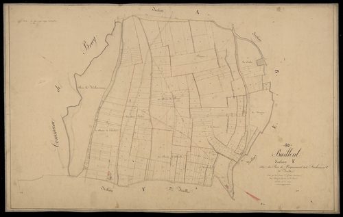 Plan du cadastre napoléonien - Bailleul : Bois de Visquemont et de Fréchencourt (Le), F1