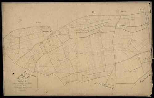 Plan du cadastre napoléonien - Bailleul : Grandsart ; Labiettes (les), C