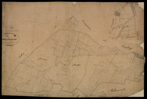 Plan du cadastre napoléonien - Bavelincourt : D