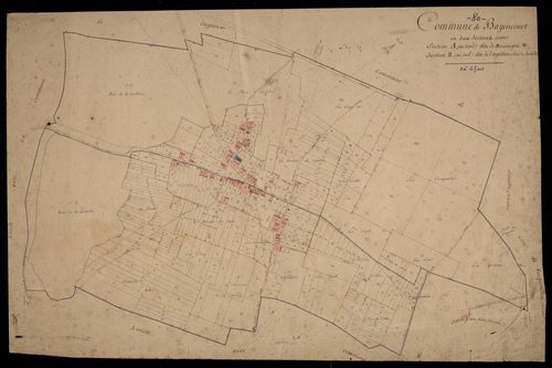 Plan du cadastre napoléonien - Bayencourt : Montaigue ; Argillière (L') ; Bois de Bataille (Le), A et B