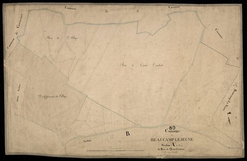 Plan du cadastre napoléonien - Beaucamps-le-Jeune (Beaucamp-le-Jeune) : Bois de Queue Comtesse (Le), A1