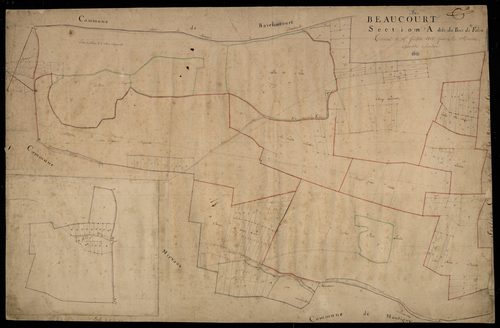 Plan du cadastre napoléonien - Beaucourt-sur-L'hallue (Beaucourt) : Bois de Falise (Le), A