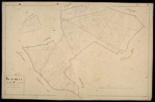 Plan du cadastre napoléonien - Beaumetz : Essarts (les), D