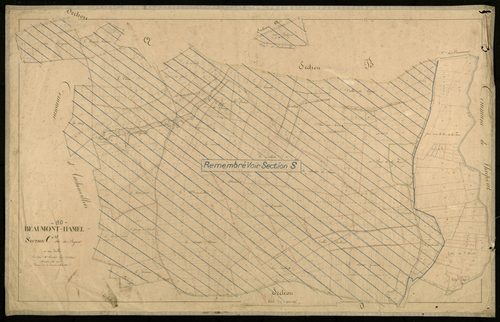 Plan du cadastre napoléonien - Beaumont-Hamel : Royard (Le), C