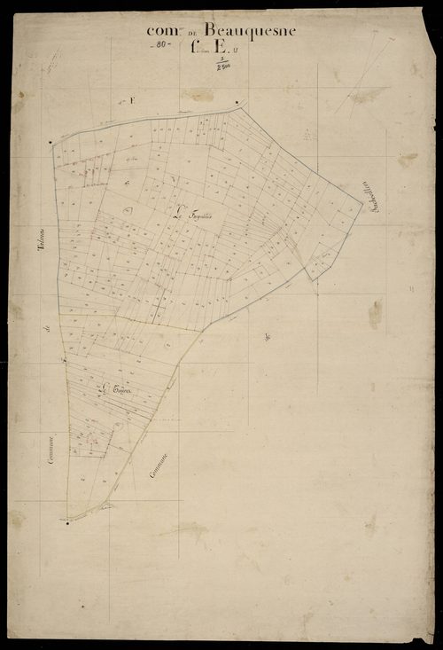 Plan du cadastre napoléonien - Beauquesne : E