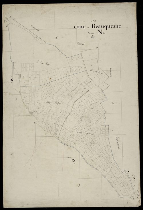 Plan du cadastre napoléonien - Beauquesne : N
