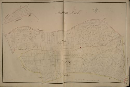Plan du cadastre napoléonien - Beauquesne (Beauquesnes) : P et Q
