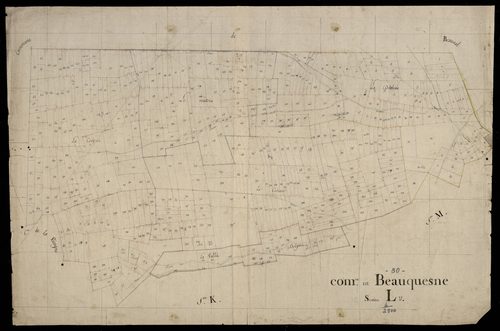 Plan du cadastre napoléonien - Beauquesne : L
