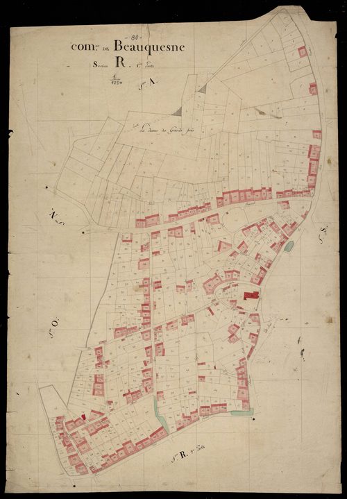 Plan du cadastre napoléonien - Beauquesne : R1