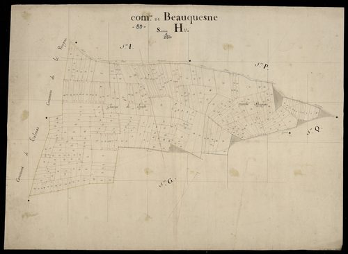 Plan du cadastre napoléonien - Beauquesne : H