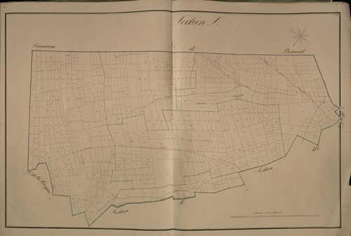 Plan du cadastre napoléonien - Beauquesne (Beauquesnes) : L
