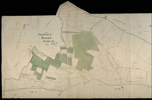 Plan du cadastre napoléonien - Beauval : G