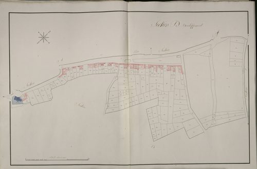 Plan du cadastre napoléonien - Beauval : D développée