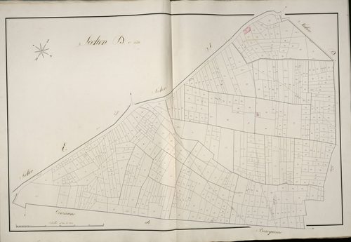 Plan du cadastre napoléonien - Beauval : D1