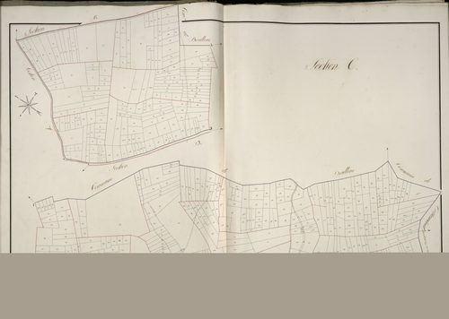 Plan du cadastre napoléonien - Beauval : C