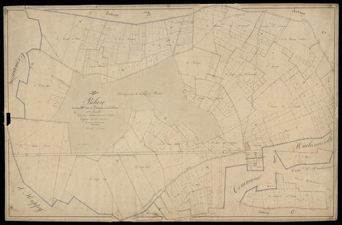 Plan du cadastre napoléonien - Behen : Bénast ; Zaleux, D1