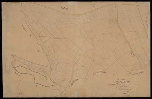 Plan du cadastre napoléonien - Bernaville : Bois de Pierremont (Le) ; Mont de Meillard (Le), C