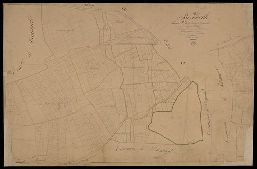 Plan du cadastre napoléonien - Bernaville : Lamotte de Cottenvillers, F