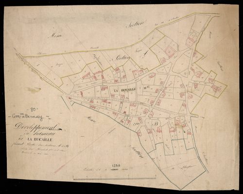 Plan du cadastre napoléonien - Bernay (Bernay) : Bucaille (La), A et B1 développées