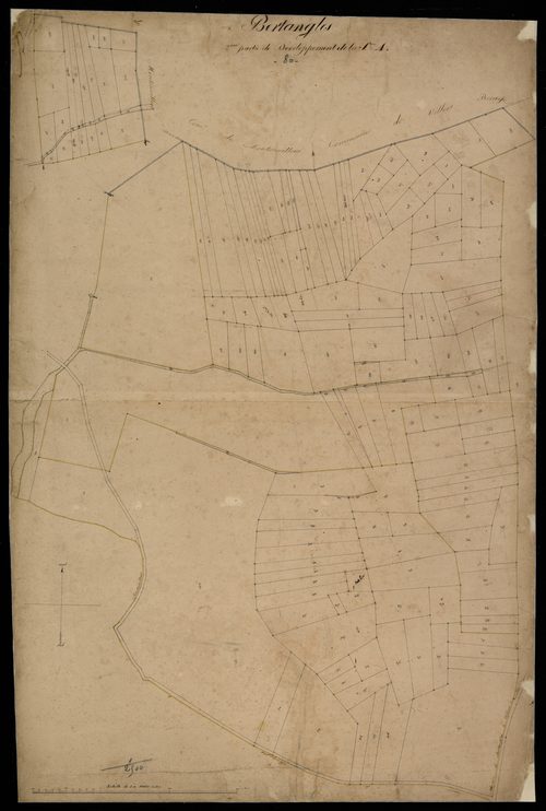 Plan du cadastre napoléonien - Bertangles : A développée