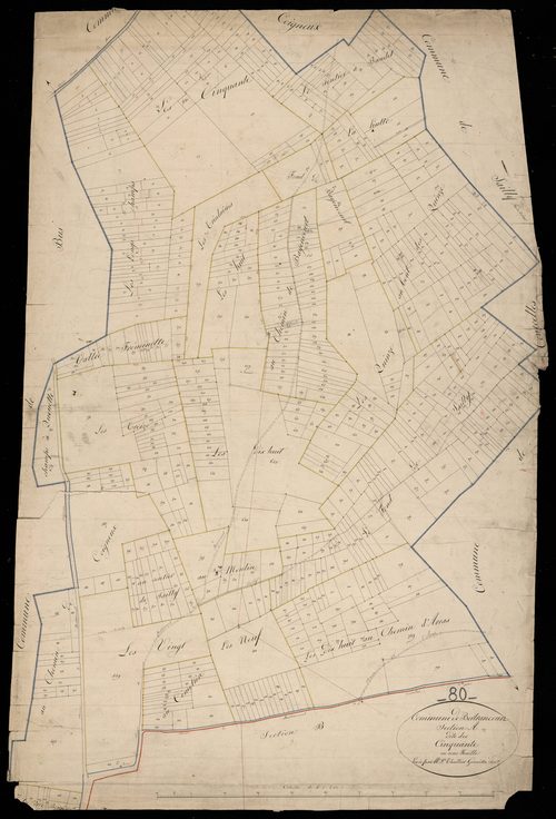 Plan du cadastre napoléonien - Bertrancourt : Cinquante (les), A