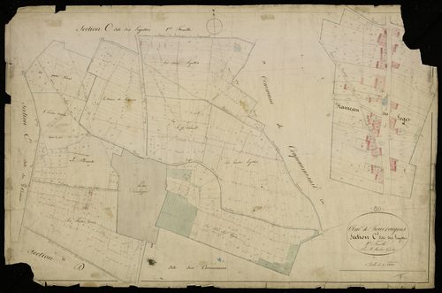 Plan du cadastre napoléonien - Beuvraignes : Logettes (Les), C2