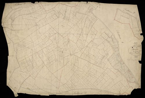 Plan du cadastre napoléonien - Boisle (Le) : Hayettes (les), E