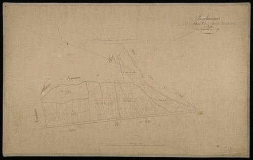 Plan du cadastre napoléonien - Bouchavesnes-Bergen (Bouchavesnes) : Vallée du Bois Boistel et du Bois Saint Furcy (Le), C2