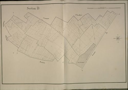 Plan du cadastre napoléonien - Bouchoir : D1