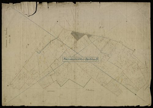 Plan du cadastre napoléonien - Bouchoir : D