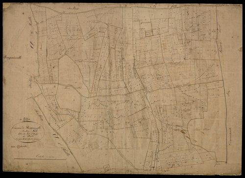 Plan du cadastre napoléonien - Bougainville : Bois d'Anges (Le), C1