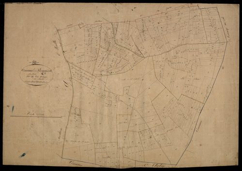 Plan du cadastre napoléonien - Bougainville : Bois d'Anges (Le), C2
