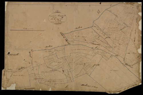 Plan du cadastre napoléonien - Bougainville : Chef-lieu (Le), A1