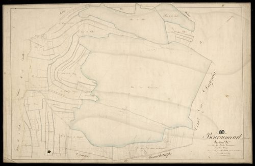 Plan du cadastre napoléonien - Bouvaincourt-sur-Bresle (Bouvaincourt) : Bois de Bouvaincourt (Le), B